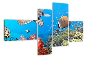 Podmorský svet, obraz (Obraz 110x70cm)