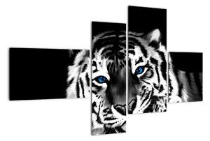 Obraz tigra s mláďaťom (Obraz 110x70cm)