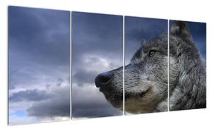 Obraz vlka (Obraz 160x80cm)