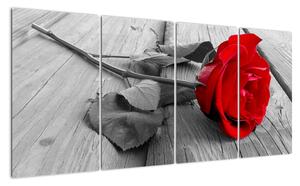 Obraz ruže s červeným kvetom (Obraz 160x80cm)
