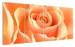 Obraz oranžové ruže (Obraz 160x80cm)