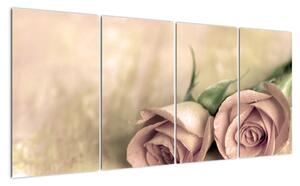 Obraz na stenu - ruže (Obraz 160x80cm)