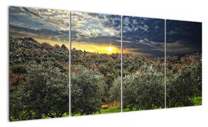 Obraz - zelený sád (Obraz 160x80cm)