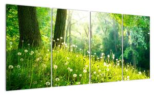 Moderné obrazy prírody (Obraz 160x80cm)