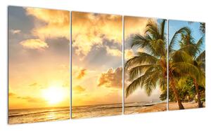 Obraz palmy na piesočnatej pláži (Obraz 160x80cm)