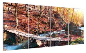 Obraz mosta - jesenné cesta lesom (Obraz 160x80cm)