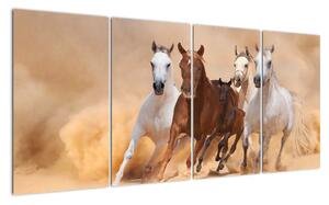 Obrazy bežiacich koní (Obraz 160x80cm)
