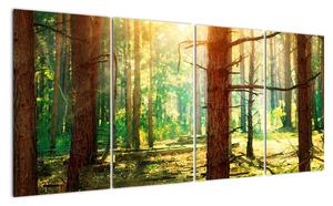 Moderný obraz - les (Obraz 160x80cm)