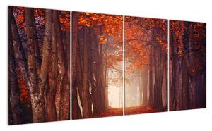 Jesenné les - obraz (Obraz 160x80cm)