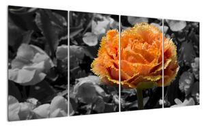 Oranžový kvet na čiernobielom pozadí - obraz (Obraz 160x80cm)