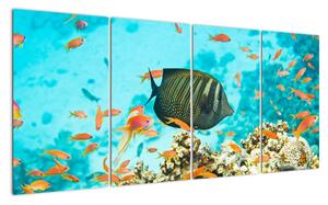 Obraz rýb v akváriami (Obraz 160x80cm)