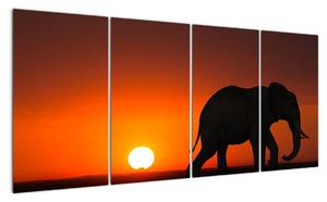 Obraz slona v zapadajúcom slnku (Obraz 160x80cm)