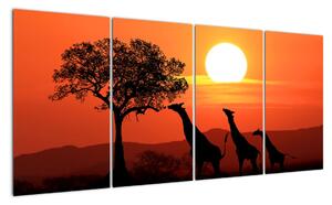 Obraz žirafy pri západe slnka (Obraz 160x80cm)