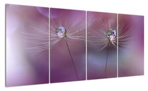 Obraz - kvet s kvapkami vody (Obraz 160x80cm)