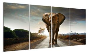 Obraz kráčajúceho slona (Obraz 160x80cm)
