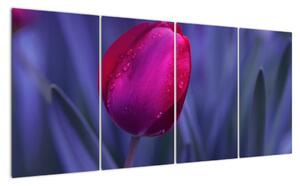 Obraz - tulipán (Obraz 160x80cm)