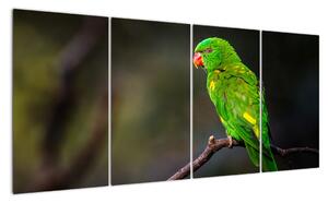 Obraz zeleného papagája (Obraz 160x80cm)