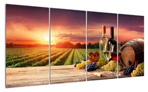 Obraz - víno a vinice pri západe slnka (Obraz 160x80cm)