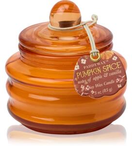 Paddywax Pumpkin Spice vonná sviečka 58 g