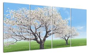 Obraz kvitnúceho stromu na jarné lúke (Obraz 160x80cm)