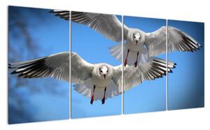 Obraz do bytu - vtáky (Obraz 160x80cm)