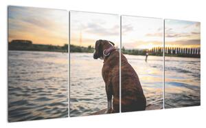 Obraz - sediaci pes (Obraz 160x80cm)
