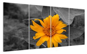 Obraz oranžového kvetu (Obraz 160x80cm)