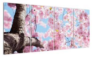 Kvitnúce strom - obraz (Obraz 160x80cm)