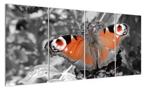 Oranžový motýľ - obraz (Obraz 160x80cm)