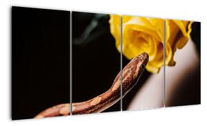 Obraz hada so žltou ružou (Obraz 160x80cm)