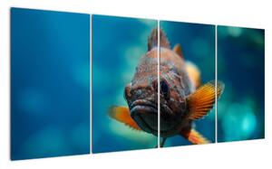 Obraz - ryba (Obraz 160x80cm)
