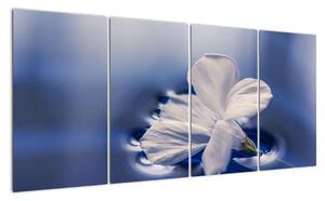 Obraz bieleho kvetu vo vode (Obraz 160x80cm)