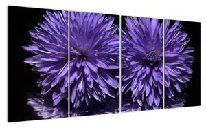 Obraz fialových kvetov (Obraz 160x80cm)
