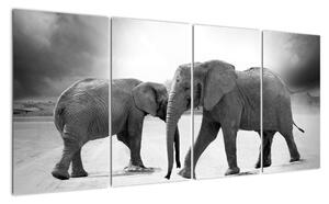 Obraz - slony (Obraz 160x80cm)