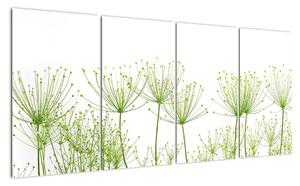 Obraz rastlín na bielom pozadí (Obraz 160x80cm)