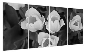 Čiernobiele kvety (Obraz 160x80cm)