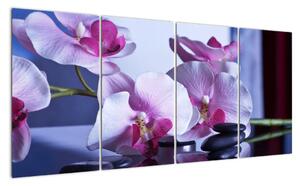 Obraz - orchidea (Obraz 160x80cm)