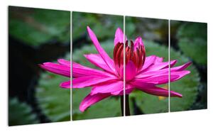 Obraz kvetu (Obraz 160x80cm)