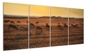 Obraz - panoráma krajiny na stenu (Obraz 160x80cm)