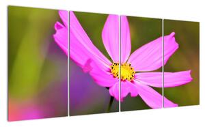 Obraz kvety (Obraz 160x80cm)