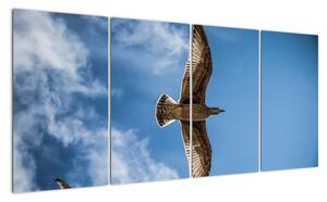 Obraz letiaceho vtáka (Obraz 160x80cm)