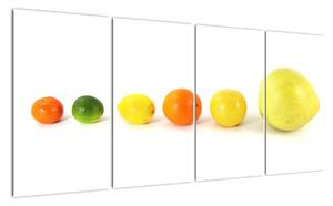 Obraz - ovocie (Obraz 160x80cm)