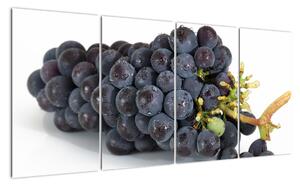 Obraz s hroznovým vínom (Obraz 160x80cm)