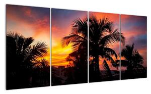 Obraz palmy na stenu (Obraz 160x80cm)