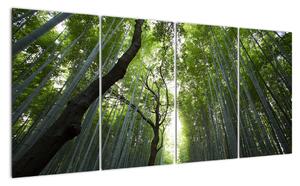 Obraz lesov (Obraz 160x80cm)