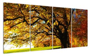 Obraz jesennej krajiny (Obraz 160x80cm)