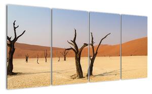 Obraz púšte (Obraz 160x80cm)