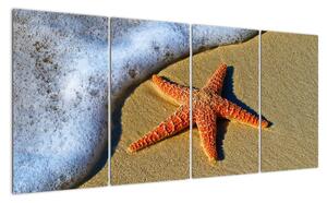 Obraz s morskou hviezdou (Obraz 160x80cm)