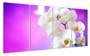Obraz s orchideí (Obraz 160x80cm)