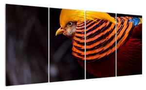 Obraz vtáka (Obraz 160x80cm)